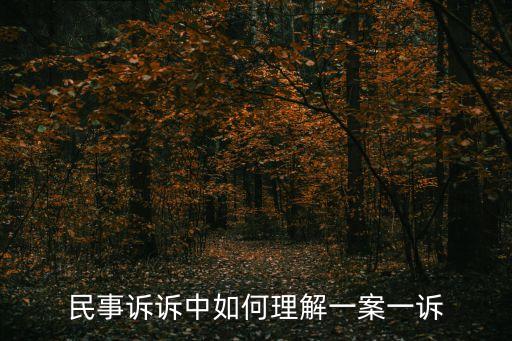 民事訴訴中如何理解一案一訴