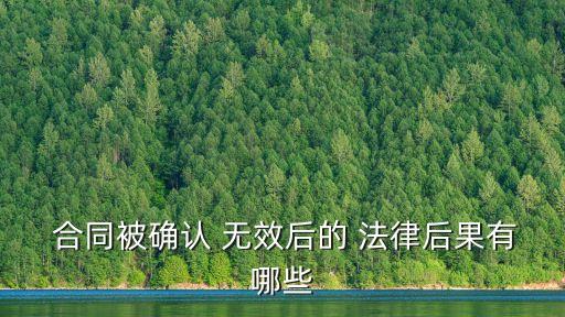 合同被確認(rèn) 無(wú)效后的 法律后果有哪些