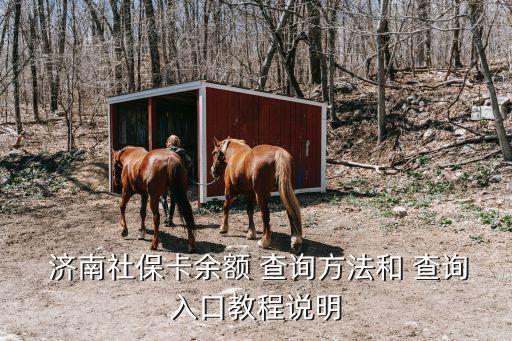 濟(jì)南社保卡余額 查詢方法和 查詢?nèi)肟诮坛陶f(shuō)明