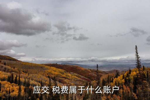 應(yīng)交稅費(fèi)