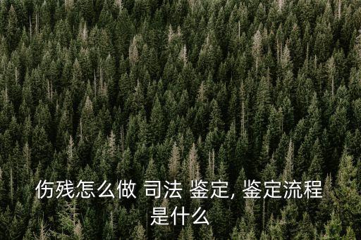 傷殘?jiān)趺醋?司法 鑒定, 鑒定流程是什么