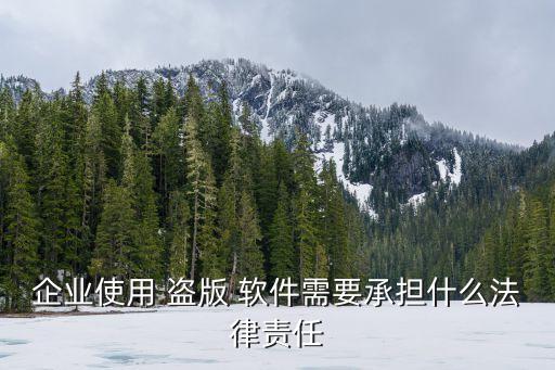 盜版軟件