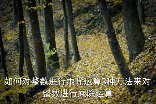 如何對整數(shù)進行乘除運算3種方法來對整數(shù)進行乘除運算