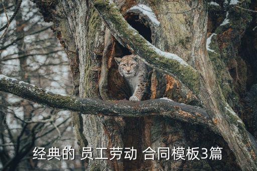 經(jīng)典的 員工勞動 合同模板3篇