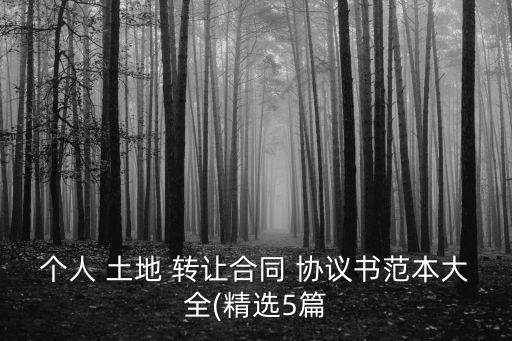 個(gè)人 土地 轉(zhuǎn)讓合同 協(xié)議書范本大全(精選5篇