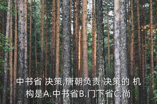 決策機(jī)構(gòu)