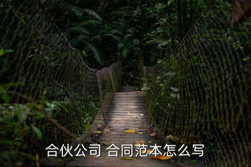 合伙人合同協(xié)議書(shū)怎樣寫(xiě)
