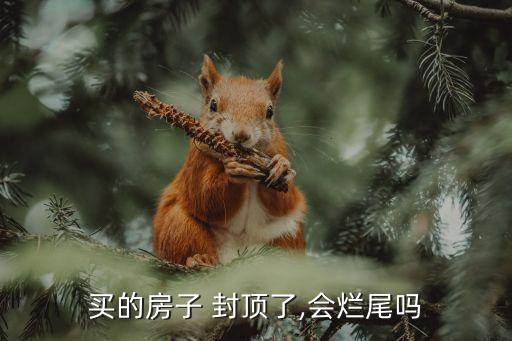 樓盤封頂