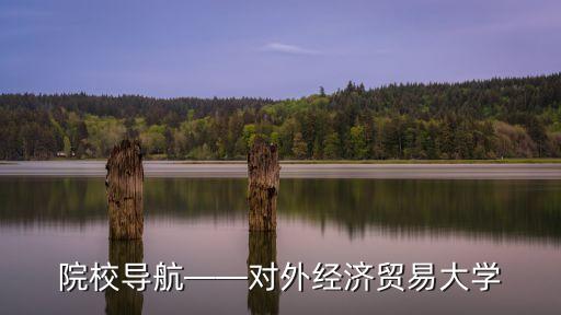 國(guó)際經(jīng)濟(jì)法英文