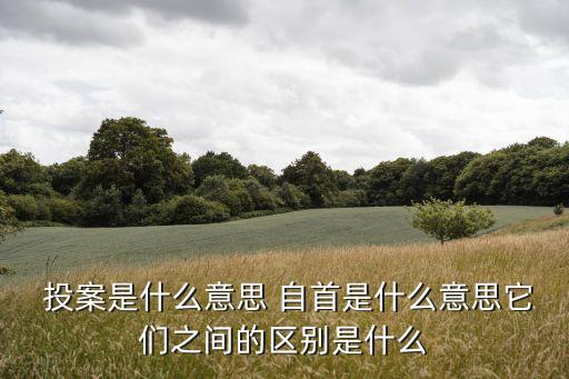  投案是什么意思 自首是什么意思它們之間的區(qū)別是什么