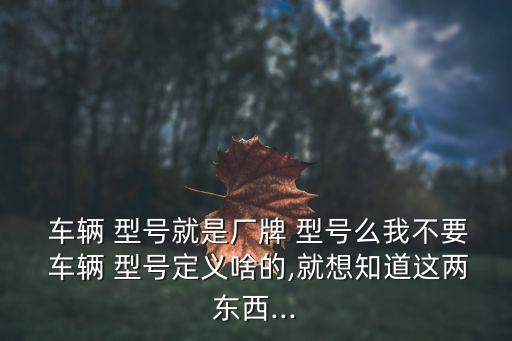  車輛 型號就是廠牌 型號么我不要 車輛 型號定義啥的,就想知道這兩東西...