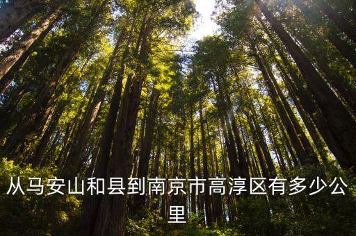 從馬安山和縣到南京市高淳區(qū)有多少公里