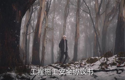工程施工安全協(xié)議書