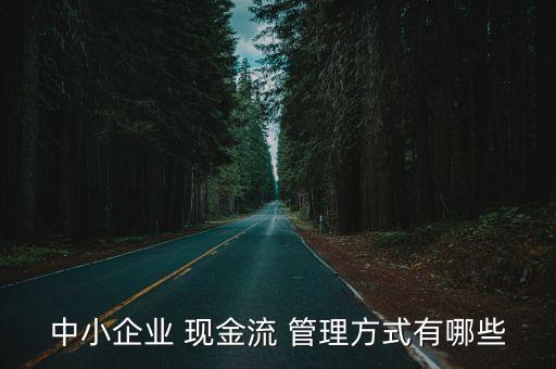 現(xiàn)金流管理