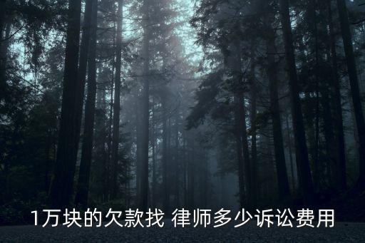 1萬(wàn)塊的欠款找 律師多少訴訟費(fèi)用