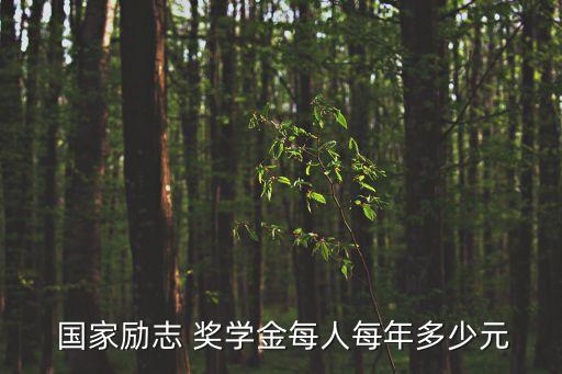  國(guó)家勵(lì)志 獎(jiǎng)學(xué)金每人每年多少元