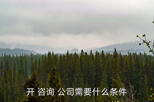 開 咨詢 公司需要什么條件