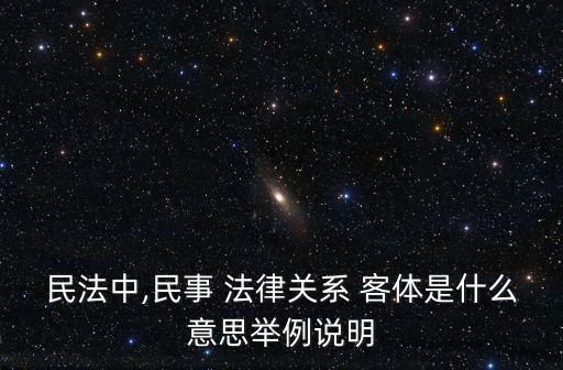 民法中,民事 法律關系 客體是什么意思舉例說明