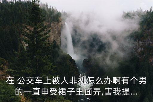 在 公交車上被人非禮怎么辦啊有個男的一直申受裙子里面弄,害我提...