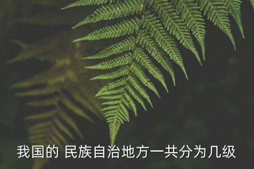 民族自治地方