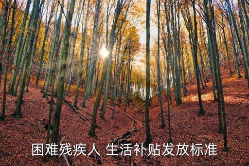 困難殘疾人 生活補(bǔ)貼發(fā)放標(biāo)準(zhǔn)
