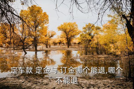 定車款 定金與 訂金哪個(gè)能退,哪個(gè)不能退
