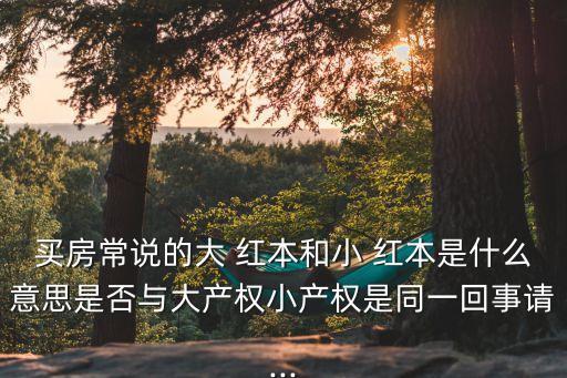 紅本是什么意思,房子沒(méi)有紅本是什么意思