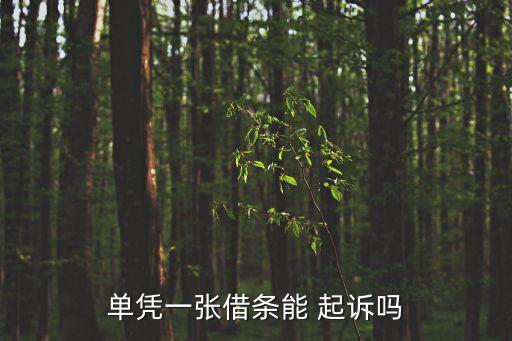 單憑一張借條能 起訴嗎