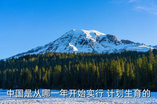 計劃生育什么時候開始的,中國農(nóng)村計劃生育什么時候開始的