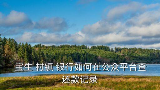 寶生村鎮(zhèn)銀行,深圳南山寶生村鎮(zhèn)銀行