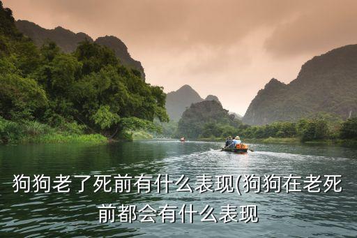 生理性死亡,社會(huì)性死亡和生理性死亡