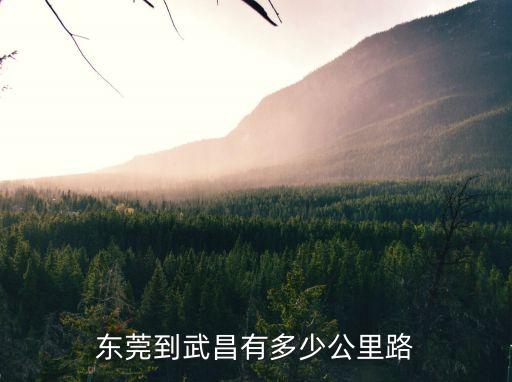 東莞到武昌有多少公里路