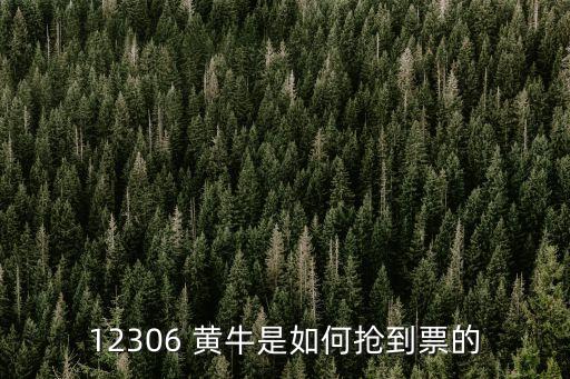 12306 黃牛是如何搶到票的