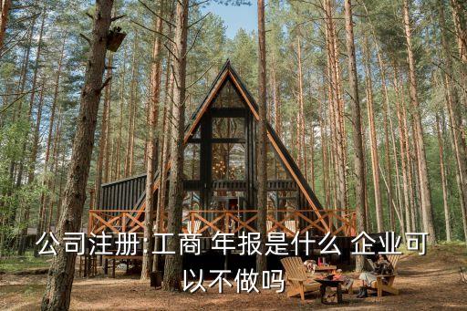 公司注冊(cè):工商 年報(bào)是什么 企業(yè)可以不做嗎