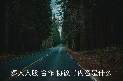 多人入股 合作 協(xié)議書內(nèi)容是什么