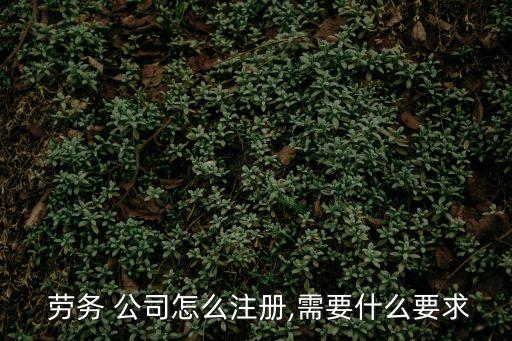  勞務(wù) 公司怎么注冊,需要什么要求