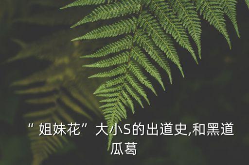 姐妹綜合