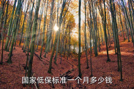 最低生活保障