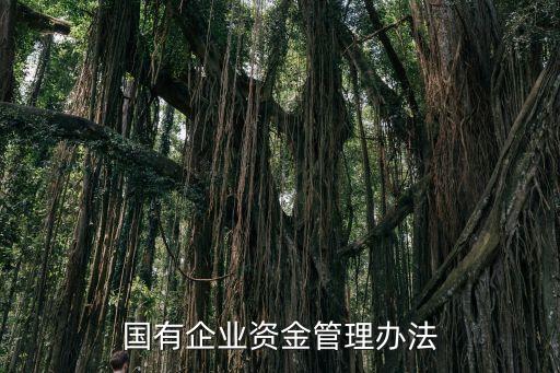 清產(chǎn)核資管理系統(tǒng)登錄,全國資產(chǎn)管理系統(tǒng)平臺