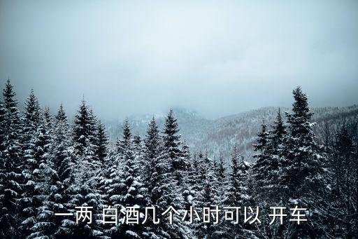 喝一兩白酒多久才能開車,怎樣快速解酒最快方法