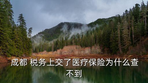  成都 稅務上交了醫(yī)療保險為什么查不到