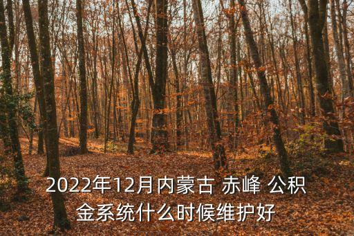 2022年12月內(nèi)蒙古 赤峰 公積金系統(tǒng)什么時(shí)候維護(hù)好