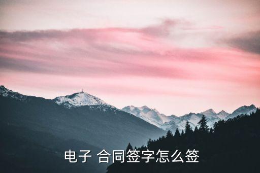 線上電子合同怎么簽名,電子合同沒有簽名有效嗎