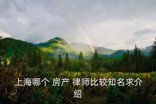  上海哪個 房產(chǎn) 律師比較知名求介紹