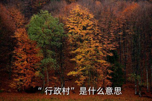 “ 行政村”是什么意思