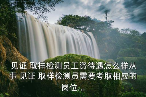 見(jiàn)證取樣員