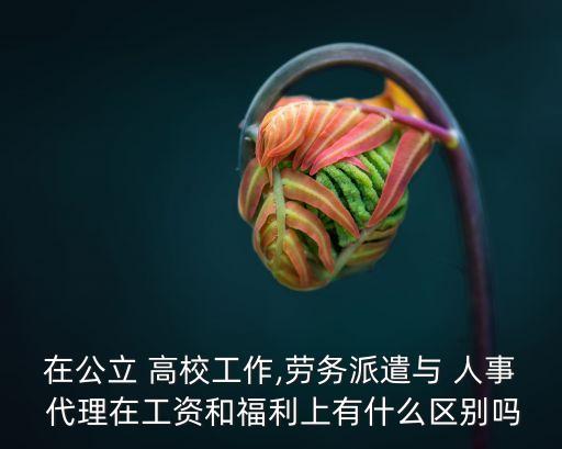 在公立 高校工作,勞務(wù)派遣與 人事 代理在工資和福利上有什么區(qū)別嗎