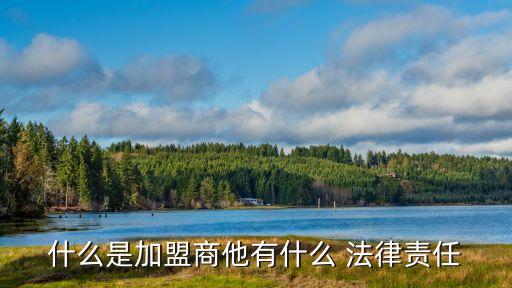 什么是加盟商他有什么 法律責任