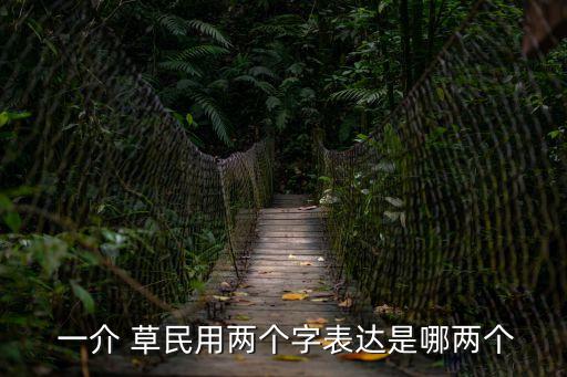  一介 草民用兩個字表達是哪兩個