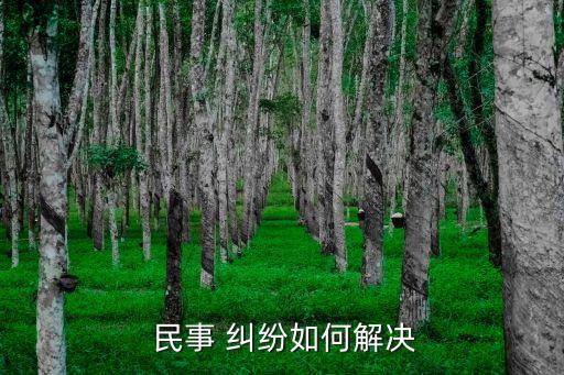  民事 糾紛如何解決